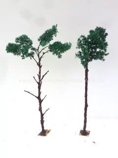 2 x Stromek listnatý 2 x ca 22 cm - HO